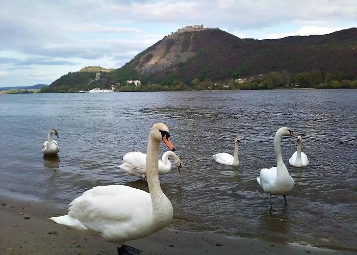 Bonifert Vendeghaz 3* Dunabogdány